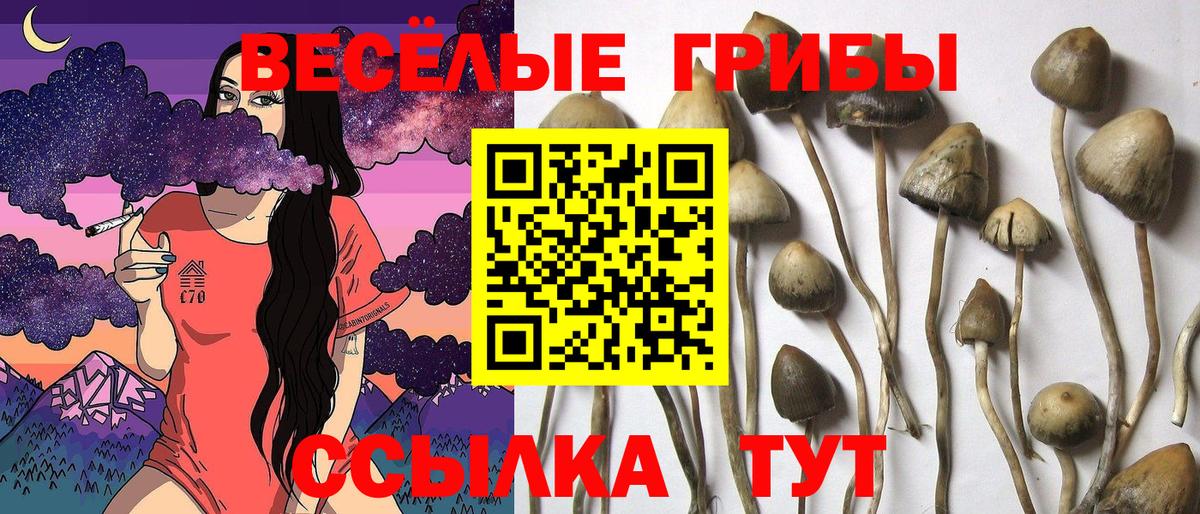 Галлюциногенные грибы Psilocybe  Галлюциногенные грибы Magic Shrooms  Вход с VPN  Петровск 